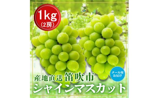 【2026年発送★先行予約】笛吹市からクール便発送 シャインマスカット 1㎏ 2房　ふるさと納税 ぶどう シャインマスカット 笛吹市 国産 人気 期間限定 果物 フルーツ 旬 山梨県 送料無料 226-012