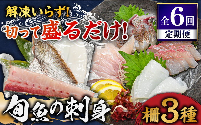 
【全6回定期便】 獲れたて 旬魚 の柵 3種 セット（ 刺身 2種＆ イカ 1種）（4～5人前）【平戸市/舘浦漁業協同組合】 [KAA519]
