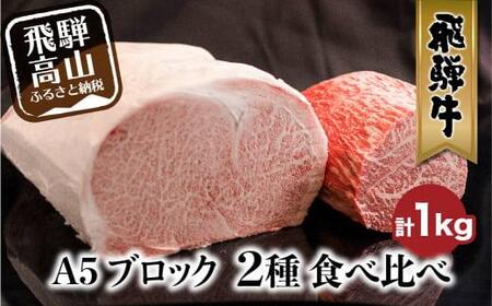牛肉 A5 飛騨牛 ブロック ２種食べ比べ 1kg（サーロイン500g もも500g） 牛肉 LR001