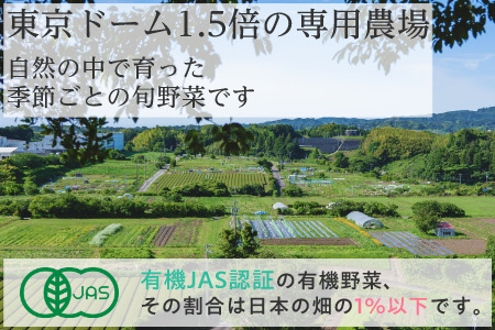 野菜 オーガニック 野菜 レギュラーサイズ 野菜セット 有機JAS認証 有機野菜 ９～１２袋 しあわせ野菜畑 6337