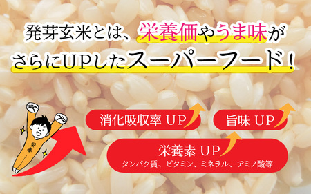 【令和7年産】発芽玄米 コシヒカリ「特選」特別栽培米使用 3kg×2袋（計6kg）【米 こしひかり 玄米 ギャバ GABA 無農薬 特別栽培 食物繊維 栄養 真空パック ごはん ご飯 おいしい ふるさ