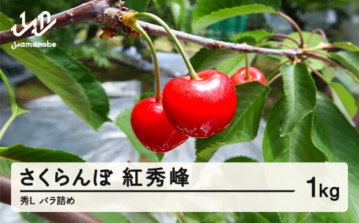 
            【先行予約】2025年 山形県産さくらんぼ 紅秀峰 秀L 1kg バラ詰め　sa-bsslb1000
          