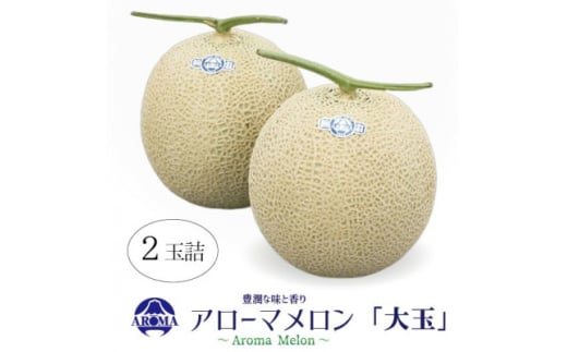 ＜通年出荷＞アローマメロン 白等級(大玉) 2玉入【1170111】
