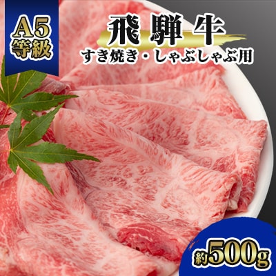 飛騨牛A5等級　モモ・カタ肉 スライス 約500g(すき焼き・しゃぶしゃぶ用) 黒毛和牛【配送不可地域：離島】