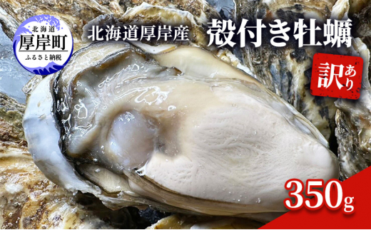 
訳あり 北海道 厚岸産 殻付き 牡蠣 350g[№5863-1073]
