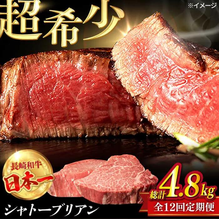 【全12回定期便】極上 シャトーブリアン 長崎和牛 出島ばらいろ 毎月計400g以上（約200g×2枚）【肉のマルシン】 ステーキ ヒレ ヒレステーキ ヒレ肉 フィレ[FG47]