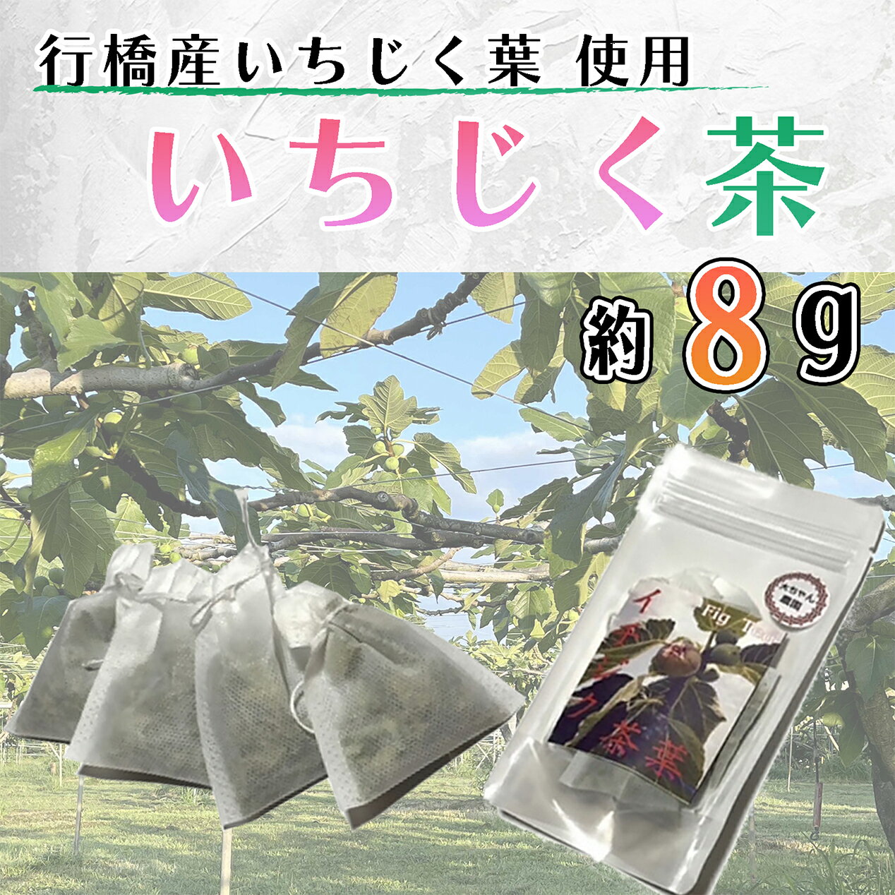 【ふるさと納税】いちじく茶 8g（2g×4）_AO-020 お買い物マラソン 2,000円 送料無料 ふるさと納税 2000円 買い回り対策