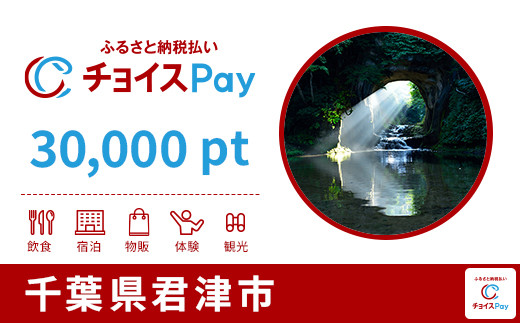 
            君津市チョイスPay 30,000pt【会員限定のお礼の品】
          