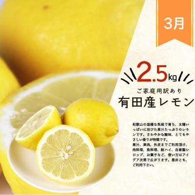 ふるさと納税 美浜町 【発送月固定定期便】紀州和歌山産旬のご家庭用柑橘セット(みかん・不知火・レモン)全3回 |  | 03