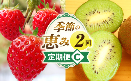 季節の恵み2回定期便C | 果物 スイーツ フルーツ デザート 旬の果物 旬のフルーツ 旬 定期便 果物定期便 旬のフルーツ定期便 フルーツ定期便 定期 厳選 キウイ イチゴ ご褒美 贈り物 贈答 ギ