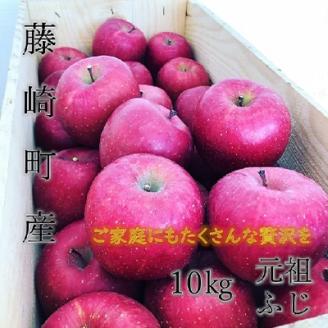 青森県藤崎町産りんご　完熟サンふじ　家庭用　約10kg【配送不可地域：離島・沖縄県】