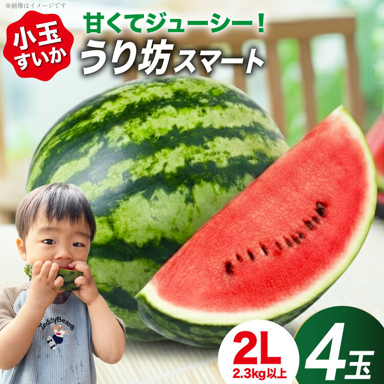 【ふるさと納税】 AJ636 【令和8年度出荷分】 まるき農園 うり坊スマート 2Lサイズ(2.3-2.8kg) 4玉 [ スイカ すいか 西瓜 小玉 小玉スイカ うり坊 ウリ坊 うりぼう ウリボー まるき農園 長崎県 島原市]