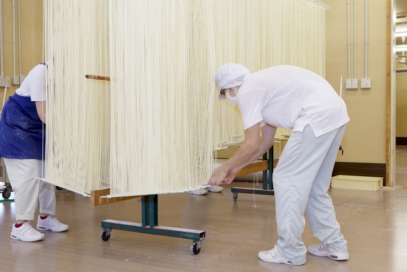 ハルユタカ特等粉全量使用 稲庭手延饂飩 黄金 150g×2束 うどん 稲庭うどん 手延べうどん 乾麺 国産小麦 北海道産小麦 ハルユタカ  【(株)後文】[A9402]