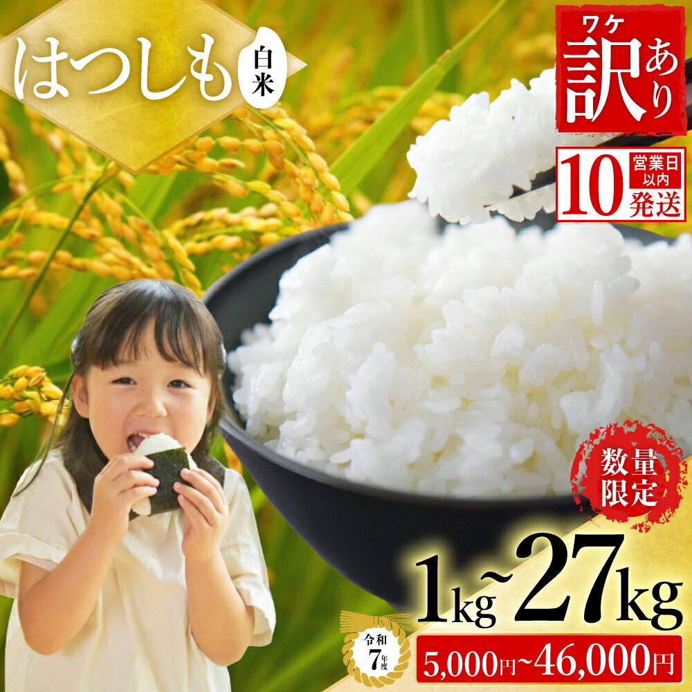 【ふるさと納税】【27kg 今だけ寄附額46,000円 / 在庫なくなり次第終了】【岐阜県代表品種】 令和7年産 ハツシモ米 【白米】【選べる内容量】訳あり 期間限定 数量限定 寄附額改定 / 1kg・2kg・5kg・10kg・27kg 世界農業遺産認定地域（清流長良川中流域）栽培 幻のお米