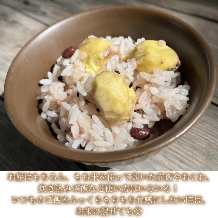 もち米 5kg 令和7年産 AU008