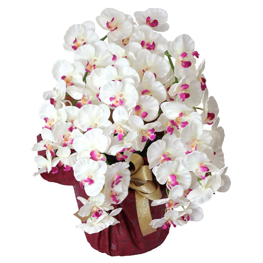 枯れないアーティフィシャルフラワー胡蝶蘭　5本立ち／ホワイトビューティ