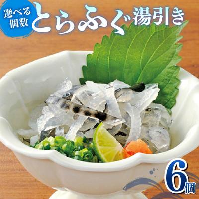 ふるさと納税 松原市 とらふぐ湯引き 6個セット　解凍するだけ楽しめる&amp;小分けの食べきりタイプ