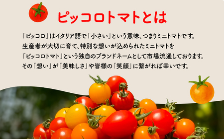 ピッコロトマト1.5㎏