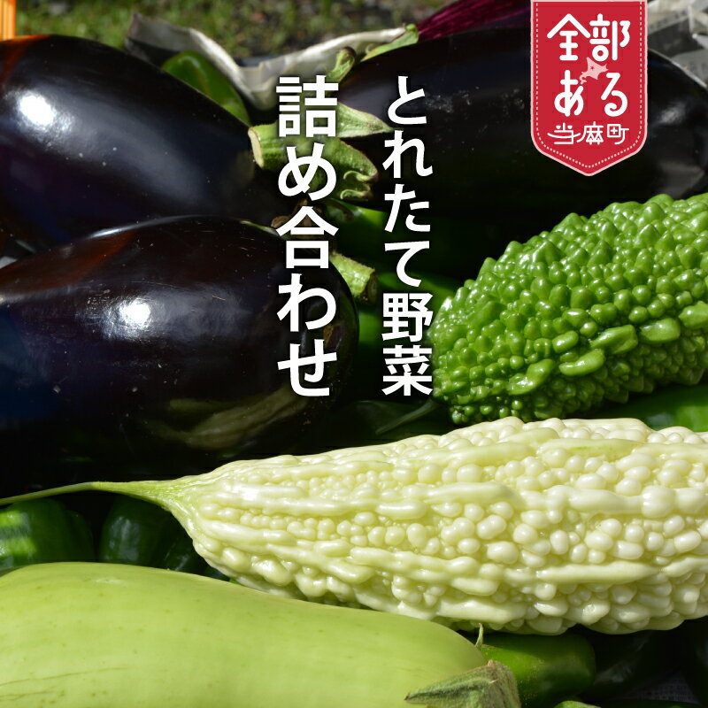【ふるさと納税】 2026年産 相馬ファームの野菜セット 無農薬 無化学肥料 野菜詰め合わせ 採れたて 新鮮 旬 相馬ファーム 数量限定 送料無料 北海道 当麻町 お取り寄せ 野菜博士