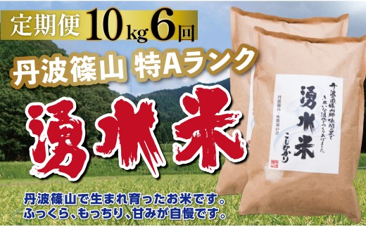 〈定期便 特Aランク〉令和7年産 丹波篠山産 特A コシヒカリ 湧水米  【 10kg ( 5kg × 2袋 )  6回 】 | 丹波篠山 お米 おこめ ブランド米 ごはん ご飯 白米 米 コメ こめ 精米 精白米 おいしい米 美味しいお米 兵庫県 お取り寄せ こしひかり コシヒカリ