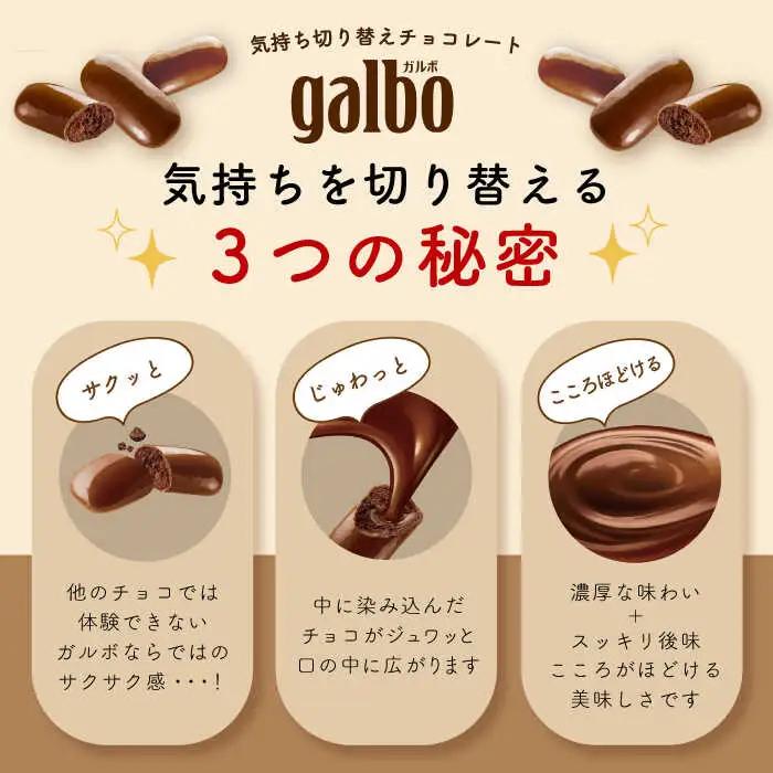 ガルボチョコ パウチ 48袋[AOAA028] チョコレート