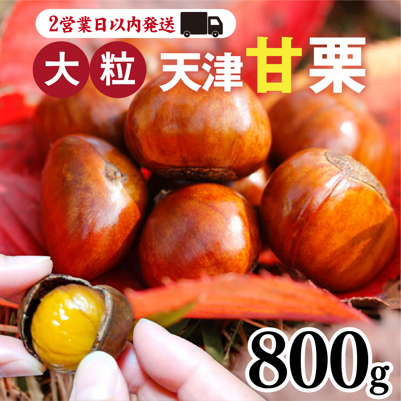 【最速発送】 【 寄付受付：2025年7月10日まで 】 天津甘栗 800g ／ 焼きたて 栗 くり マロン 秋 おやつ 栗爪 殻付き お菓子 おつまみ 人気 高リピート 小分け 栗ご飯 栗きんとん 甘露煮 こだわり 手軽 おためし お試し