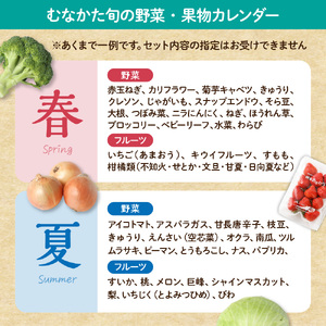 【定期便／年12回／毎月お届け】むなかた旬のお任せセット 野菜 フルーツ お米 9～11品 _HB0029 | お野菜 果物