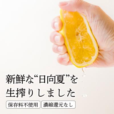 ふるさと納税 高原町 手搾り日向夏果汁200ml×3p　TF874 |  | 01