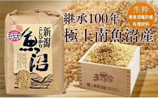 【令和7年産】【定期便】極上南魚沼産コシヒカリ（有機肥料、塩沢産）玄米10ｋｇ×全3回【定期便 銘柄米 ブランド米 玄米 こしひかり コシヒカリ 魚沼産 新潟米 産地直送 お米 米 こめ コメ ご飯 御飯 ごはん】