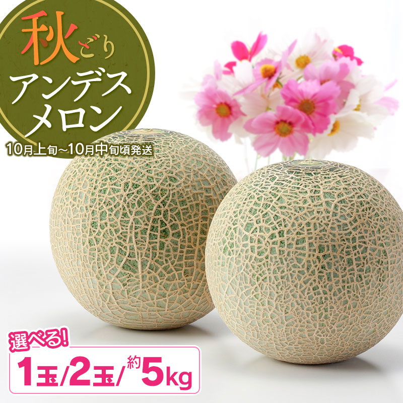 【ふるさと納税】【令和8年産】 鶴岡産 秋どりアンデスメロン【選べます！1玉・2玉・約5kg（3～4玉）】 小林ファーム　| 秋採り 秋収穫 秋メロン フルーツ 果物 くだもの デザート 産地直送 山形 鶴岡 庄内 庄内産 東北 人気 おすすめ 美味しい 贈答 国産 お取り寄せ