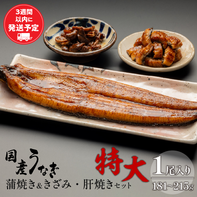 国産うなぎ 蒲焼き 特大サイズ(181～215g)・きざみ・肝焼きセット_M069-014_01