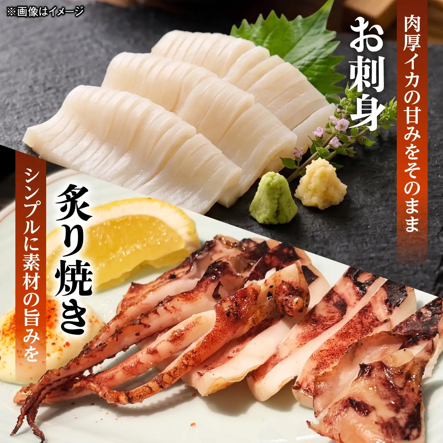 【1週間以内発送】白イカ 一夜干し 6枚セット 島根県松江市/有限会社ヤマヲ水産 ｜冷凍 おつまみ 国産 海鮮 イカ いか 干物[ALDB027]