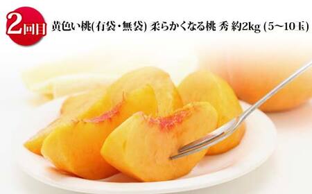 《2025年 先行予約》 山形の旬のおいしさ食べ比べ 山形の桃三昧 3回定期便 桃 果物 フルーツ  FSY-2049