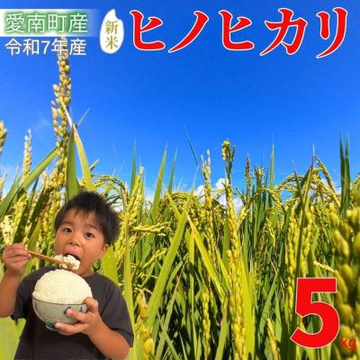 ふるさと納税 愛南町 先行受付 新米 ヒノヒカリ 5kg 令和7年産 精米 米 愛媛県 愛南町 愛なんよ