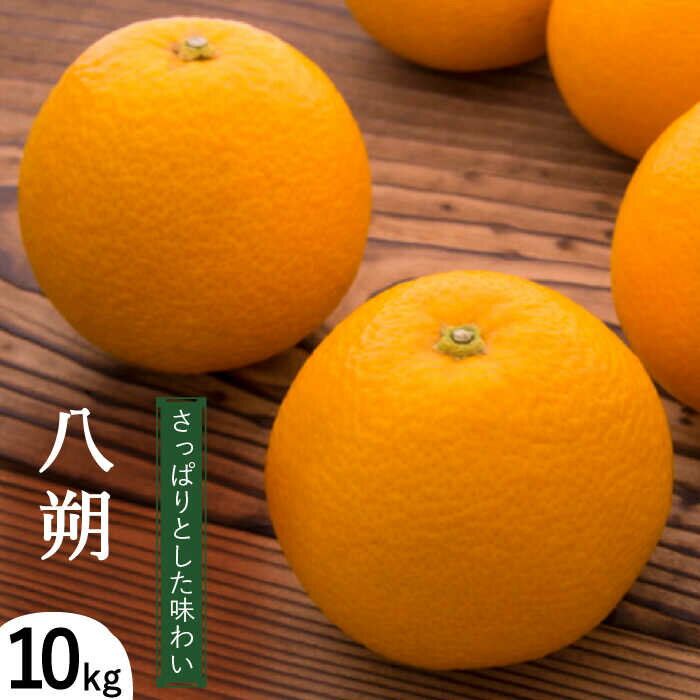 【ふるさと納税】【2026年1月～発送】八朔（10Kg）（L〜2L込） / はっさく ハッサク 八朔 みかん ミカン 蜜柑 柑橘 フルーツ 果物南 / 島原市 / 日野江 [SCY005]