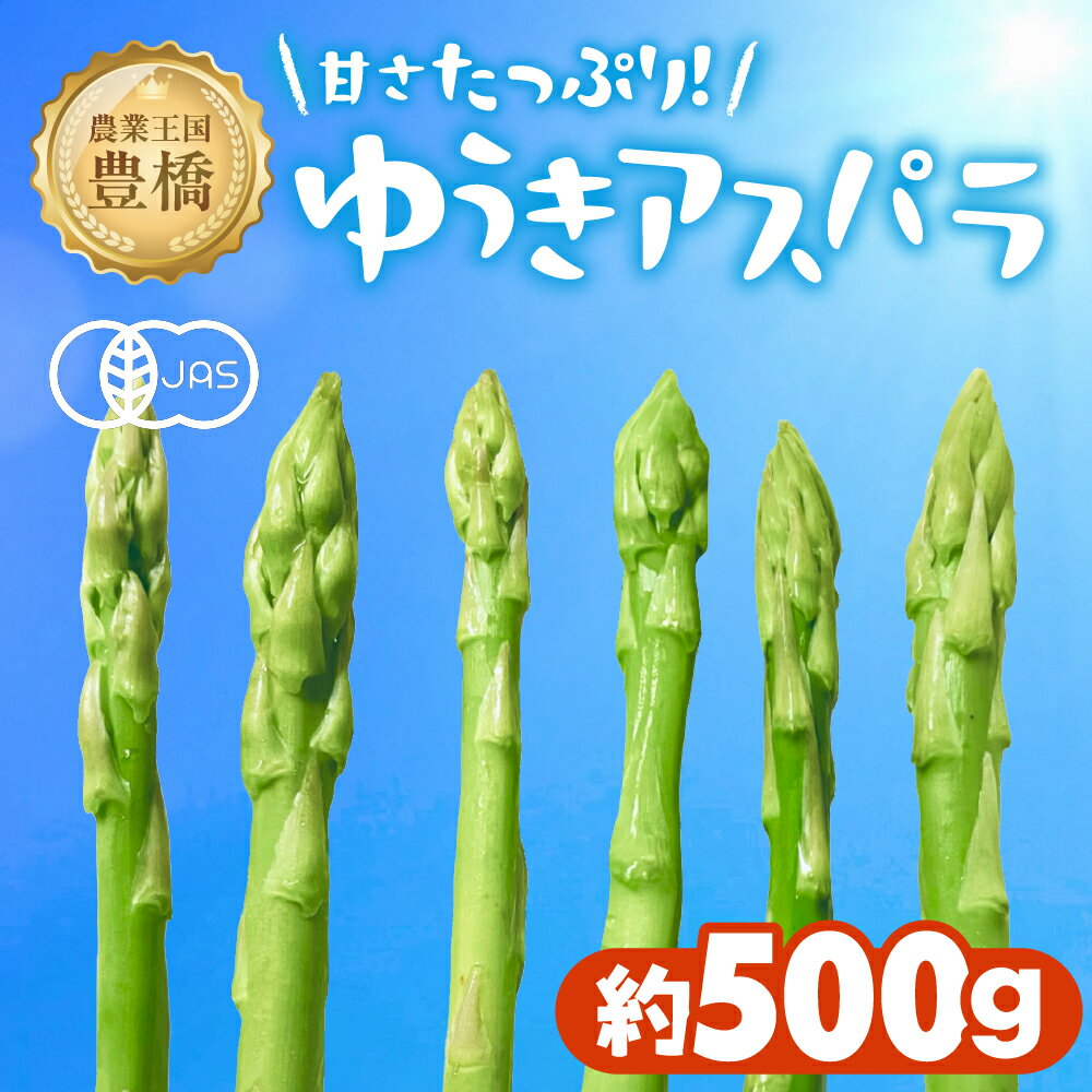 【ふるさと納税】有機栽培アスパラガス 約 500g 有機栽培 有機 アスパラ グリーンアスパラ やさい 自然 安心安全 旬 オーガニック 送料無料 愛知県 豊橋市