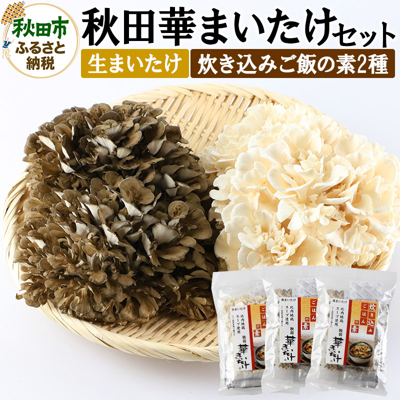 秋田華まいたけ 生まいたけと加工セット 黒まいたけ 約500g 白まいたけ 約500g 炊き込みご飯の素 黒×2パック 炊き込みご飯の素 白×1パック  舞茸