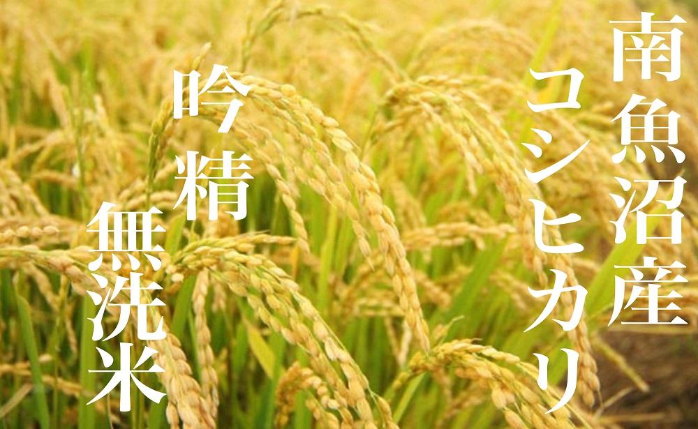 【令和7年産】【頒布会8Kg×全9回】無洗米 吟精 南魚沼産コシヒカリ【2025年10月上旬より順次発送予定】