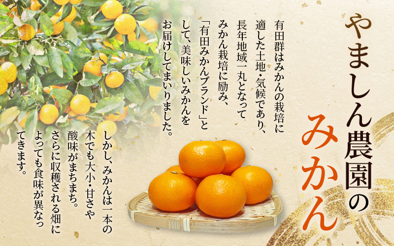 みかん 【先行予約】 ＼光センサー選別／極 有田みかんプレミアム 約5kg【光センサー 高糖度選別品】2S～Lサイズ 有機質肥料100% ※2025年11月下旬頃～2026年1月上旬頃に順次発送予定 