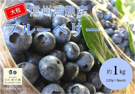 信州産 フレッシュブルーベリー(大粒) 1kg 3102
