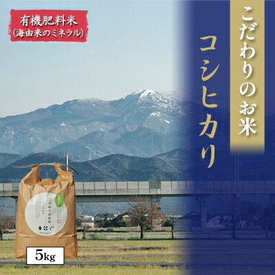 【ふるさと納税】北本農場こだわりのお米令和6年度産コシヒカリ精米5kg有機肥料（海由来のミネラル）で育てたお米 白米 ライス ブランド米 ご飯 炭水化物 毎食 朝ごはん ランチ 昼ごはん 夜ごはん 食卓 主食 おにぎり 直送 　お届け：2025年9月22日～順次配送