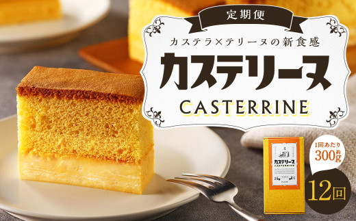 【全12回定期便】長崎カステリーヌ 1本 ／ タナカヤ カステラ かすてら スイーツ デザート お菓子 菓子 長崎県 長崎市