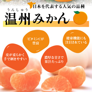 「濃厚な味のとろける美味しさ」温州みかん 10kg《先行予約》【0059-3】