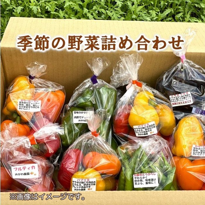【ふるさと納税】おがわ農園　季節野菜の詰め合わせ ／ セット サラダ 千葉県 特産品