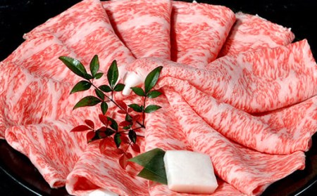 Y129 鳥取和牛 特選赤身 すき焼き・しゃぶしゃぶ用(600g)
