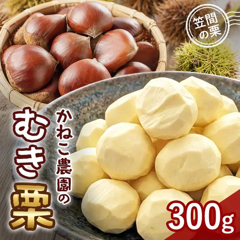 笠間の栗 かねこ農園のむき栗（300g×1パック） JO-020