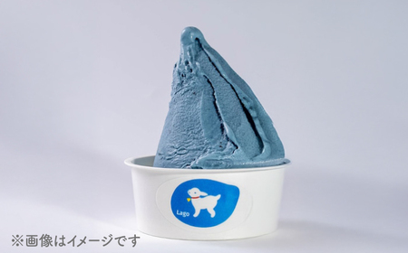 やぎミルクでチル！香りと癒しのジェラートセット 6個セット 3種類×2個 島根県松江市/SOh株式会社[ALAC004]