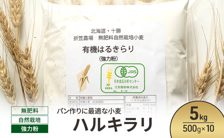 小麦粉 ハルキラリ 500g×10 強力粉 パン作り 小麦