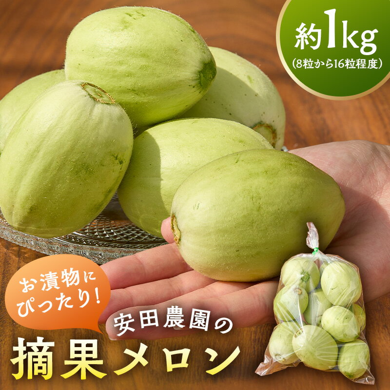 【ふるさと納税】 お漬物にぴったり　安田農園の摘果メロン（子メロン） 千葉県 南房総市 お取り寄せグルメ お取り寄せ 送料無料