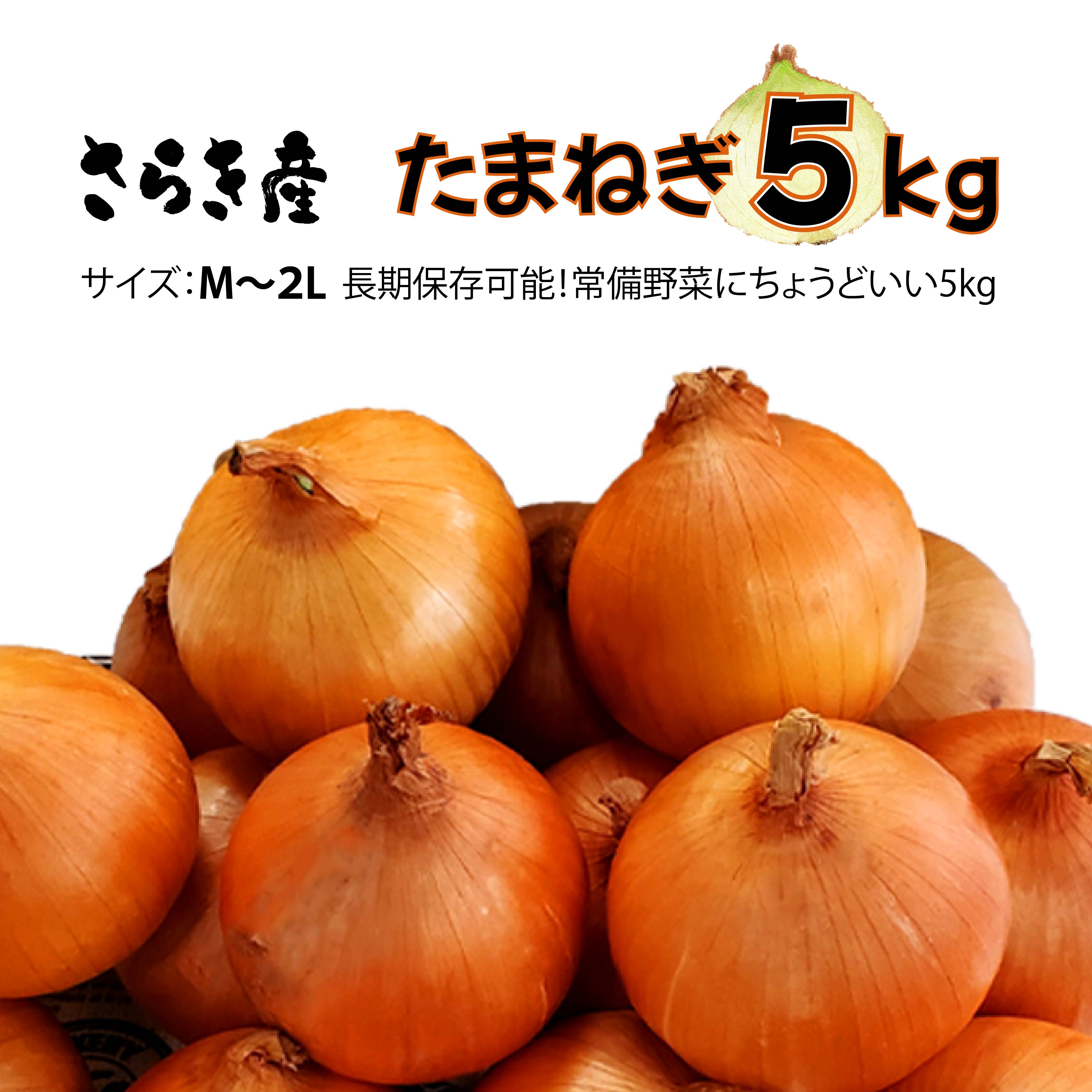 【ふるさと納税】たまねぎ 5kg 令和7年産 予約受付/7月発送開始予定 さらき産 新鮮 野菜 タマネギ 玉葱 5キロ 更木 玉ねぎ 玉ねぎ 玉葱 カレー シチュー 新鮮 フレッシュ オニオン サラダ BBQ 焼肉 野菜 Mサイズ Lサイズ 2Lサイズ 株式会社さらき 岩手県 北上市 B0363